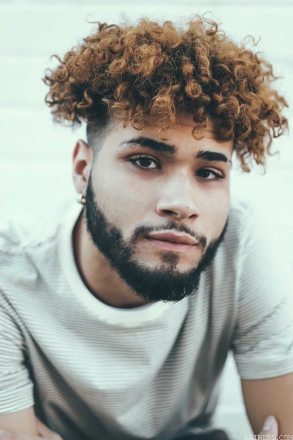 curly with Taper Fade hairstyle 