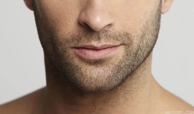 Stubble beard for men 