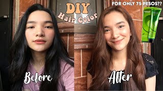 Diy Hair Color At Home Using Bremod (No Bleach) | Denays Ann