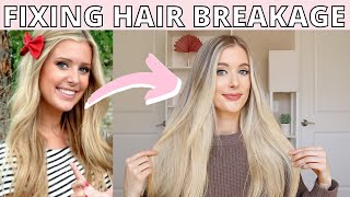 How To Fix Hair Breakage- Damaged Hair To Healthy Hair Care Tips