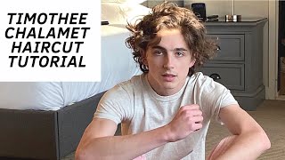 Timothee Chalamet Haircut Tutorial - Thesalonguy