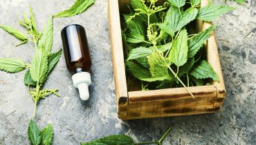 The Health Benefits of Nettle for Hair Care