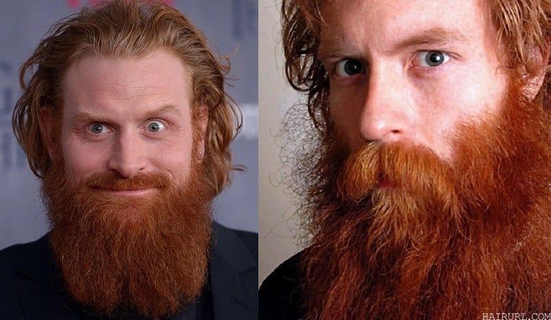 scruffy ginger beard for men