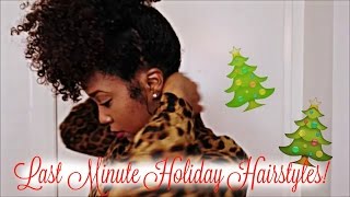 Last Minute Quick And Easy Holiday Hairstyles!