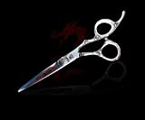 Kamisori Diablo 5.5' Professional Hair Cutting Beauty Shear/Scissor...