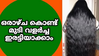 എനി മുടി വളർച്ച എളുപ്പമാക്കാം || Hair Growth Tips In Malayalam || Double Hair Growth Faster || Top10