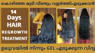 14 Days Miracle Hair Regrowth Treatment |Grow Long Thicken Hair|200% Works.