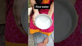Rice Water For Hair Growth #Shorts #Hair Care Tip || Sruthy'S Tips And Vlog