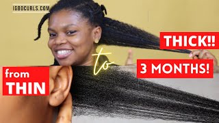 My Thick 4C Natural Hair Is Coming Back! Transitioning From Thin To Thick Natural Hair Update