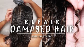 2022 Wash Day Routine For Damaged, Color Treated Hair
