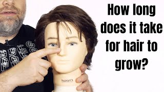 How Long Does It Take For Hair To Grow? - Thesalonguy