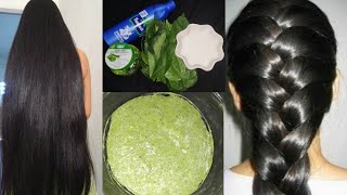 Hibiscus For Hair Growth | Mandaram Aaku Hair Pack | Hair Growth Tips