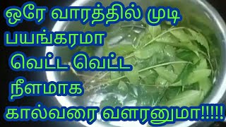 Fasthair Growth In Tamil/Home Remedy For Long Hair/Best Hair Loss Remedy/Quick Hair Growth In 1 Week
