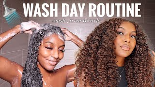 Wash Day Routine | Hair Maintenance After Braids, Styling & New Color!?