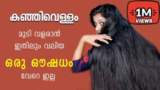 Rice Water For Hairgrowth | Kanjivellam Hair Pack | Venmas Beauty Hub