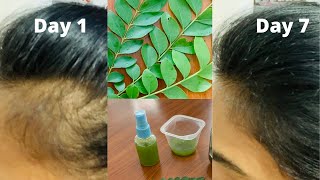 7 Day Hair Miracle | With Proven Real Results | Curry Leaves Magic