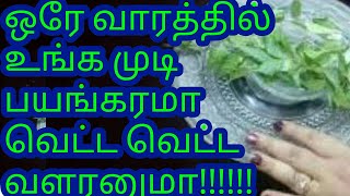 Fast Hair Growth Tips Tamil/Home Remedy For Long Hair/Hair Fall Remedy/Easy Tips For Long Hair