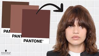  Pantone Inspired Hair Color | Igora Royal Mix | Schwarzkopf Professional