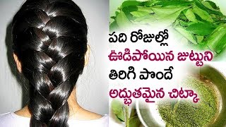Hair Growth Tips In Telugu || Grow Thick Hair Using Curry Leaves In Telugu || Health Tips Telugu