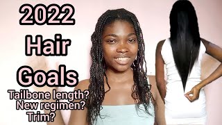 2022 Hair Goals // Relaxed Hair Regimen // Relaxed Hair Trim // Tailbone Length Relaxed Hair