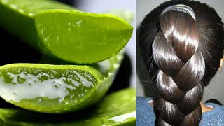 Aloe Vera For Hair Growth | Hair Growth Tips | How To Grow Long &Thicken Hair Naturally & Faster