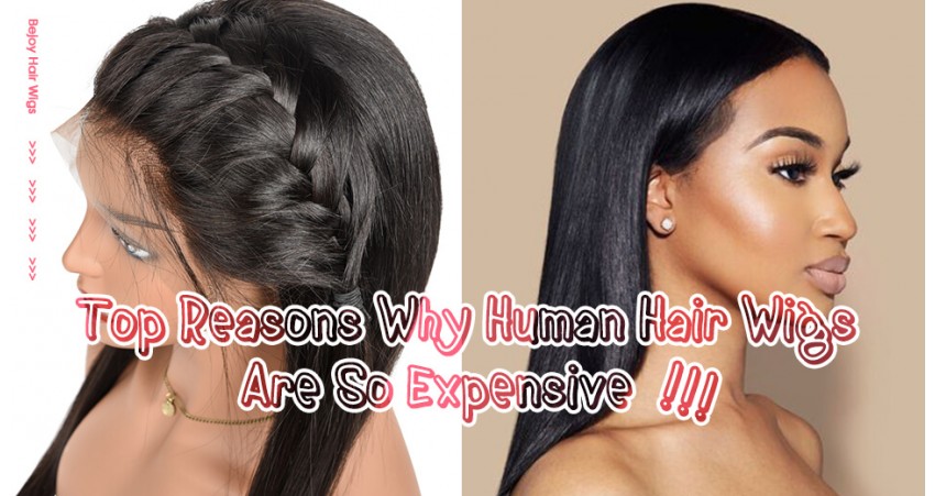 Top Reasons Why Human Hair Wigs Are So Expensive