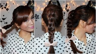 Valentines Day Hairstyle #1 : Braided Ponytail Hairstyle