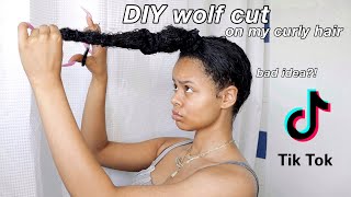 I Gave Myself A Wolf Cut On My Curly Hair | Tiktok Diy Wolfcut Trend
