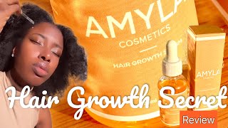 Amyla Cosmetics | Natural Hair Routine For Black Women #Tutorial