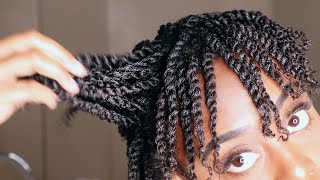 Mini Twist On Short Natural 4B/4C Hair | Gloria Ann