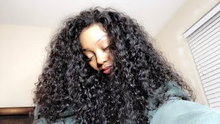 Brazilian Curly Pre Plucked 13X6 Lace Front Wig | Evawigs