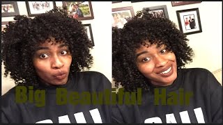 Wigs Under $30: Outre Big Beautiful Hair 4A Kinky