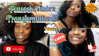 Cyndoll: Full Lace Wig (Seamless) W/ Peacock Ombre