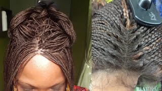 Braided Lace Front Wigs | A Kaylis Braided Wig Vs Sensationnel Braided Wig