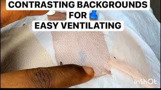 Contrasting Backgrounds For Easy Hair Ventilating (Ventilating Class 102)