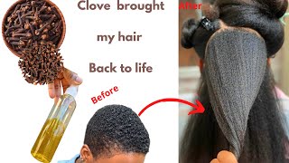 How To  Grow Hair Faster With This  One Ingredient | Shocking 7 Days Cloves Hair Growth Challenge.