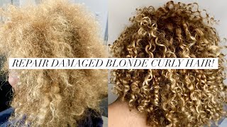 Repair Dry Damaged Blonde Curly Hair!
