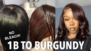 Alipearl Wig | Dying Hair Burgundy With No Bleach!