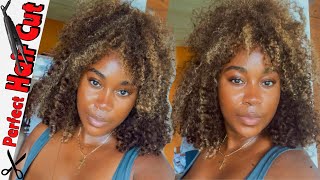 This Color Is Everything!! Curly Highlight Wig Install Ft Reshine Hair | Beyonce Inspired Wig