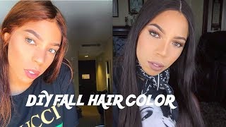 How To: Coloring Lace Front Wig Copper Reddish Ginger Brown