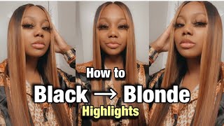 How To: Easy Highlights On Wig// Isee Hair
