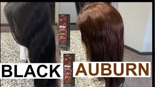 How To Go From Black To Auburn Brown Hair | No Bleach