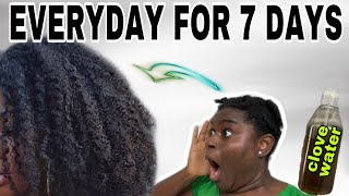 Cloves For Hair Growth | I Used Cloves On My Hair Everyday For One Week And This Happened