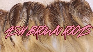D.I.Y Ash Brown Roots On Blonde Hair/Frontal Ft. Westkiss Hair