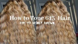 How To: Tone 613 To Honey Brown|Ft Highlights| 613 To Honey Brown