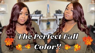 How To Dye Your Hair Burgundy Without Bleach!! | Sophiology Inspired | Allthingsdejanicole