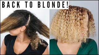 I'M Blonde! | Multi Blonde Hair Color | Creme Of Nature | Natural Hair