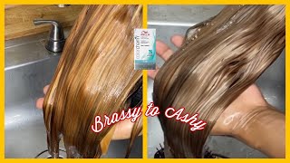 From Brassy To Ash Blonde | Which Wella Toner Should I Use??| Aqua_Diva