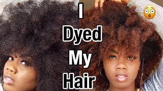 I Dyed My Hair Honey Blonde|Creme Of Nature Hair Dye Experience