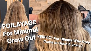 Foilayage | For Minimal Grow Out , Perfect For Once A Year Clients!!!